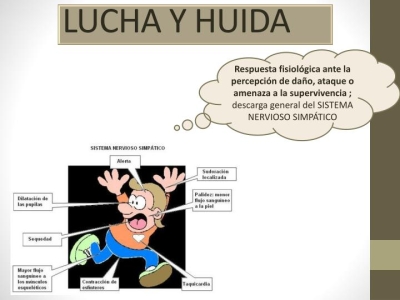 REFLEJO DE LUCHA O HUIDA.